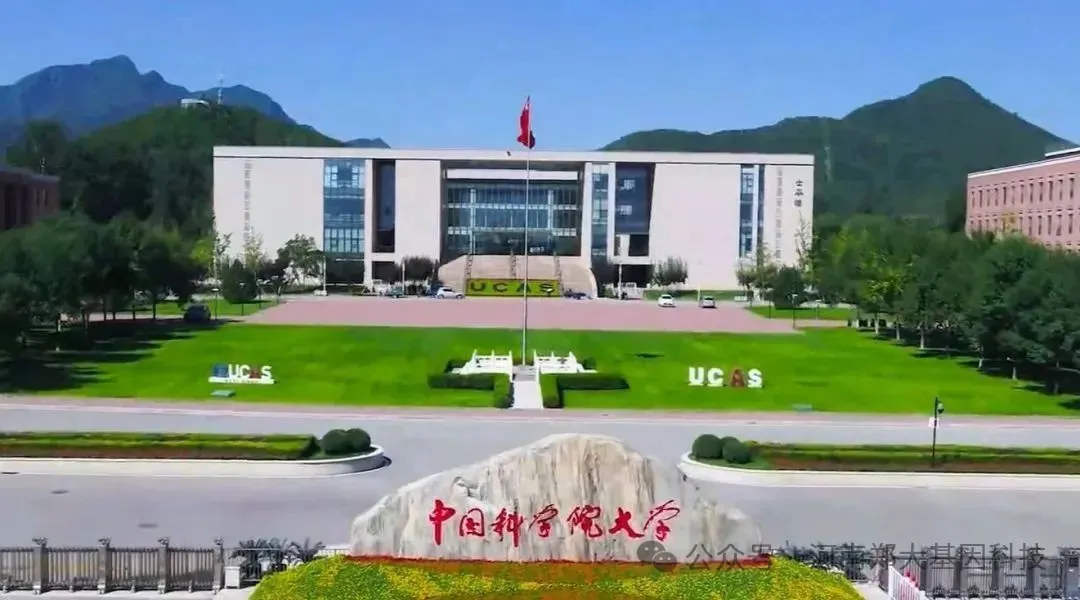 多能干细胞衍生NK祖细胞疗法可预防肿瘤发生并消除微小残留病